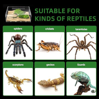 Micro Habitat Terrarium Enclosure, 6x11x16 inch Jumping Spider Enclosure with Locking Latch for Small Tree Dwelling Reptiles,Tarantula, Amphibians, Spiders,Invertebrates
