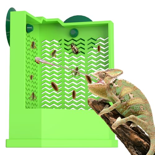 Pawfly Bearded Dragon Feeder - Escape-Proof Corner Reptile Food Box, Wall-Mounted with Suction Cups for Insects - Bug Bowl for Lizards, Geckos, Chameleons & Frogs - color: Corner Mounted Feeding Dish, size: Small