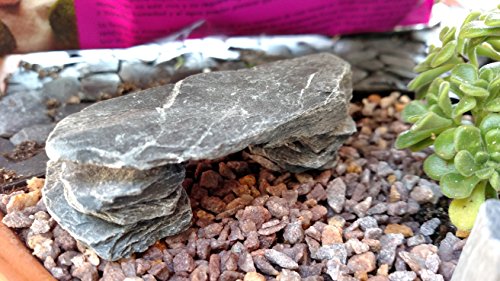 USA Natural Slate 1-3" for Aquariums, Reptiles, Terrariums, Miniatures 2 lb | Hand sorted, tumbled & washed in the US by our family-owned small business. Great in paludariums, mosaics & fairy gardens - style: 2 lbs