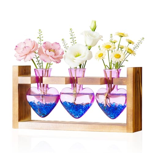 Nacome Plant Terrarium with Wooden Stand, 3 Heart Bulb Glass Vases | Wooden Stand Tabletop for Air Planter, Gifts for Mom Plant Lovers Mom Women Wife Grandma - color: Purple