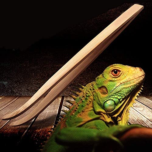 Reptile Feeder Tongs, Bamboo Tweezers for Lizard Gecko | Two-size bamboo tong set keeps hands safely away when feeding lizards, geckos, turtles, iguanas & bearded dragons