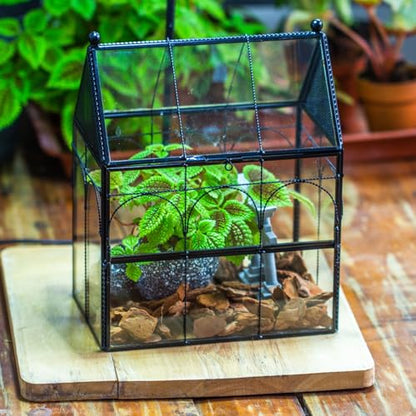 NCYP Glass Jumping Spiders Enclosure with Vent Holes - 7.5" x 4.9" x 9" Vented Glass Terrarium for Small Spider, Mantis, Small Beetle, House Shape, Tabletop Decor, Black (Terrarium Only)