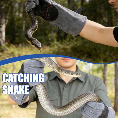 IC ICLOVER Animal Handling Gloves, Snake Bite Proof Gloves, Double Leather | Cat, Dog Training, Bird, Falconry, Snake Reptile Handling, Animal Control, Reinforced Palm Padded, Anti Bite Scratch Gloves - color: L -16inch