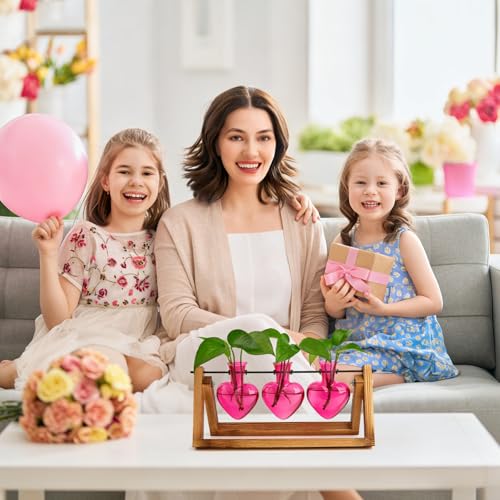 XXXFLOWER Plant Terrarium Propagation Stations 3 Heart Shaped Vases | Unique Terrarium Jar Gifts for Women Wife Mom Plant Lovers, Hydroponics, Home Garden Office Decor - size: 3 Heart Vase