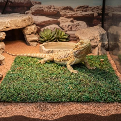 8 Pcs Reptile Carpet 12'' x 12'' Natural Moss Terrarium Bedding Reptile Liner Green Substrate Flooring Cuttable Terrarium Mat Tank Accessories for Bearded Dragon Leopard Snake Tortoise