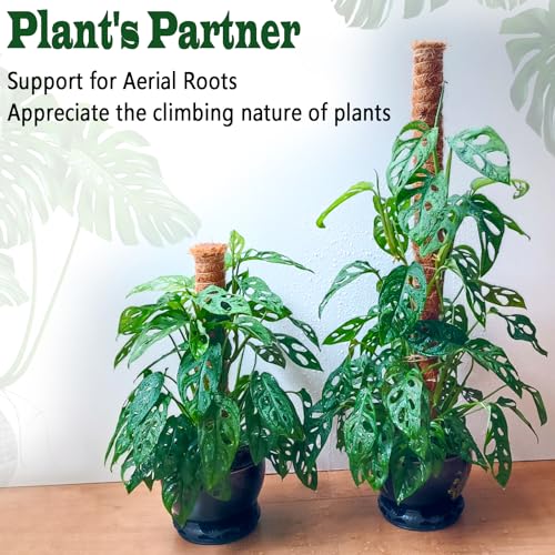 2 Pack 17 Inch Moss Pole, Stackable Moss Poles for Climbing Plants Monstera, Tall Plant Sticks Accessories, Large Coir Plant Support Stakes for Potted Plants Indoor, Pothos, Philodendron - size: 2 pack 17in