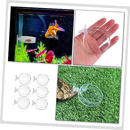 6pcs Cup Feeding Dish for Reptiles and Fish Food Trays for Aquatic Supplies Easy to Install and Clean for Freshwater Environments