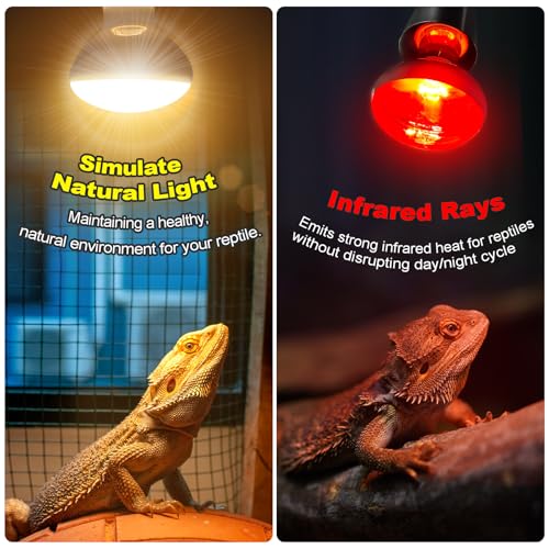 MIXJOY 100W Reptile Heat Lamp Bulb Combo, 2PCS Day & Night Reptile Heat Bulbs, UVA Daylight Intense Heat Basking Bulb Infrared Heat Light Bulb for Reptiles, Lizard, Tortoise, Bearded Dragon Chickens - style: 100W Day&Night Bulbs