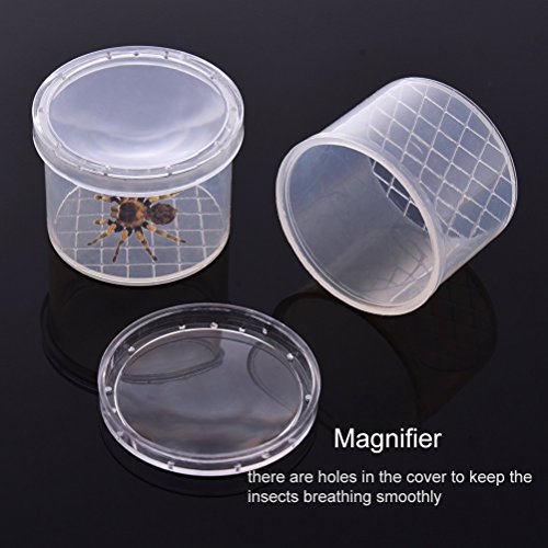 Bug Viewer Jars Critter Cage Magnifying Box 12 Pack | Insect Magnifier, Backyard Nature Exploration, Science Class Collection Entomology Class, Explorer Sample