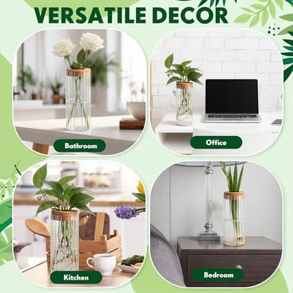 6 Set Propagation Station Jar Desktop Glass Planter Station Flower Vases Water Terrarium Jar with Cork Lid for Propagating Flower Plants Centerpiece Office Home Garden Decor(Medium) - size: Medium