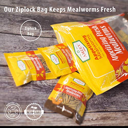 Amzey Fresh Mealworms 8.4 oz (1600 Count Total, 12 Bags) Superior to Live Meal Worms - Premium Food for Leopard Gecko, Birds, Sugar Glider, Hedgehog - High Nutritients, No Preservatives