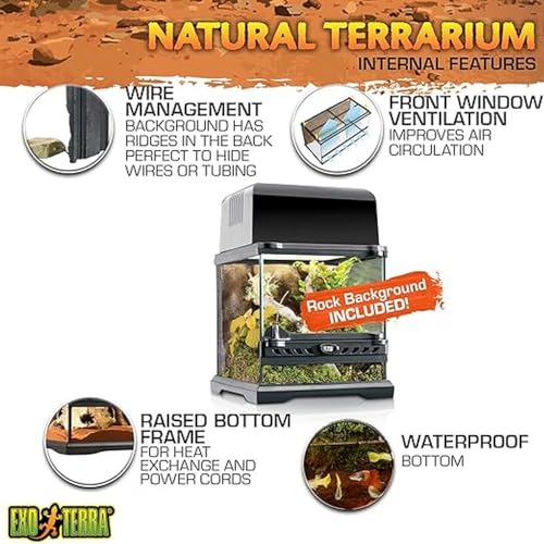 Exo Terra Glass Terrarium Kit, for Reptiles and Amphibians, Nano, 8 x 8 x 8 inches, PT2599A1 - size: 8 x 8 x 8 Inches