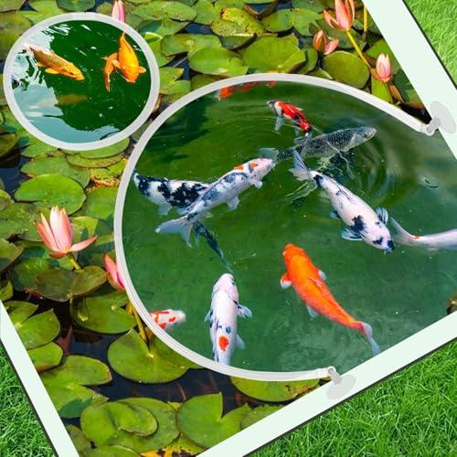 Aquarium Floating Plant Corral with Fish Feeding Ring, Floating Plant Fence for Aquarium Accessories, Separates Floating Plants, Auto-Adjusts Height with Water Level, Suitable for All Aquariums.