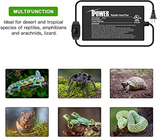 iPower 4 by 7-Inch Reptile Heat Mat with Temperature Adjustable Controller Knob, LCD Digital Aquarium Thermometer, Under Tank Warmer Terrarium Heat Pad for Reptiles and Amphibians - size: 4 X 7 Inch, style: Pad with Adjust Knob+ Thermometer