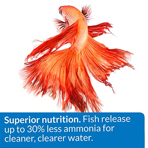 API BETTA FOOD Fish Food Pellet .78-Ounce Container - size: 1 Ounce (Pack of 1)