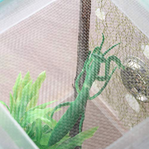 Ventilated Mantis Insect Habitat Kit, 6.2 x 6.2 x 7 in | 1.16 US Gal Bug Catcher Cage for Caterpillar, Cricket and Small Insects, Multi-Side Airflow, Animals Not Included