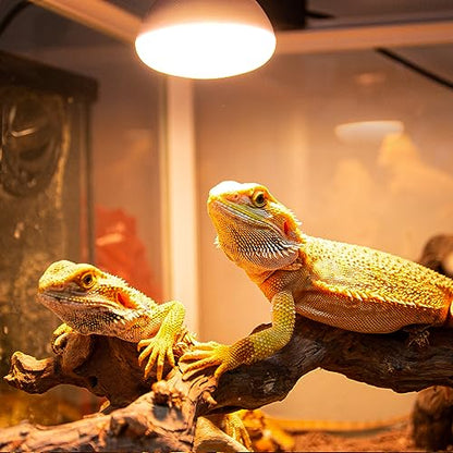 REPTI ZOO Reptile Heat Lamp, 2 Pack 50W Daylight Basking Spot Lamp for Reptiles UVA Daylight Heating Lamp Bulb Basking Light for Bearded Dragon, Tortoise, Geckos, Chicken - style: 50W Basking Spot Lamp