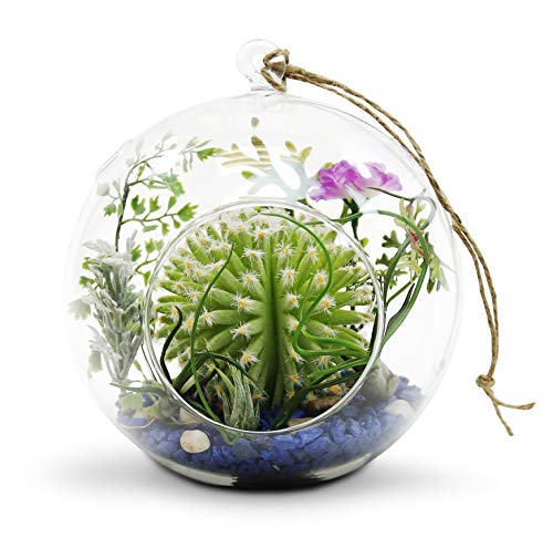 WGVI WGV Hanging Terrarium Globe, Width 7", Height 8", DIY Air Succulent Planter, Clear Glass Vase Orb with Flat Bottom, Candle Holder for Windowsill Outdoor Garden Decor, 1 Piece - size: 7" Flat Bottom