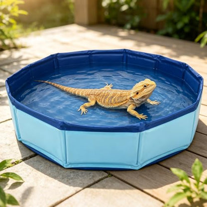 Foldable Bearded Dragon Bathtub, 50x10cm/19.69x3.94in Portable Small Pet Water Tub with Soft Brush and Towel for Bearded Dragons Turtle Hedgehogs Hamsters (Blue)