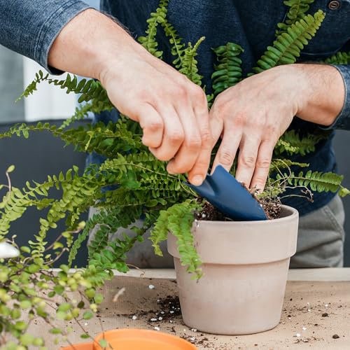 Doter Potting Soil Mix for Fern 10qt, Custom Hand Blended Mixture Suitable for Indoor/Outdoor Potted Fern Plant - size: 10qt