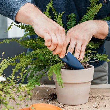 Doter Potting Soil Mix for Fern 2qt, Custom Hand Blended Mixture Suitable for Indoor/Outdoor Potted Fern Plant - size: 2qt
