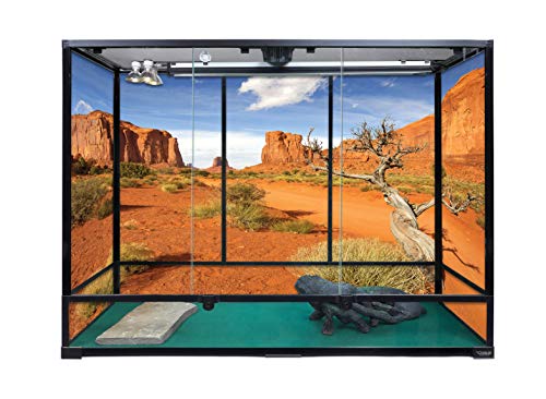 Carolina Custom Cages, 48Lx18Wx36H Extra-Tall Extra-Long Terrarium; Easy Assembly - size: 48Lx18Wx36H