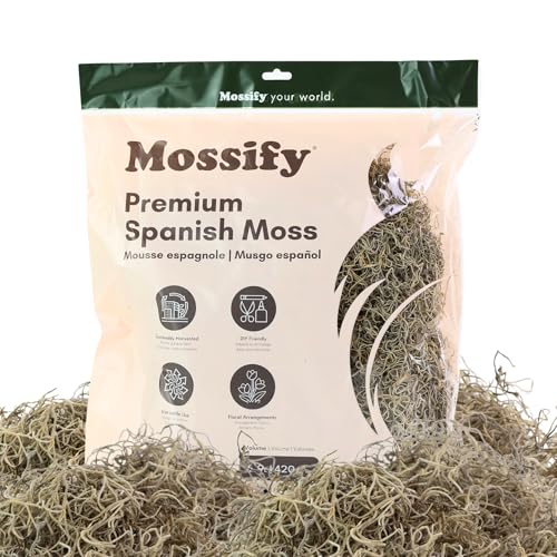 Mossify Spanish Moss, 150g 5.3Oz, Natural Dried Preserved | Plants, Indoor & Outdoor, Crafts, Terrariums, Floral Arrangements, Garden & Home Décor, Humidity Retaining - size: 150g (5.3Oz)