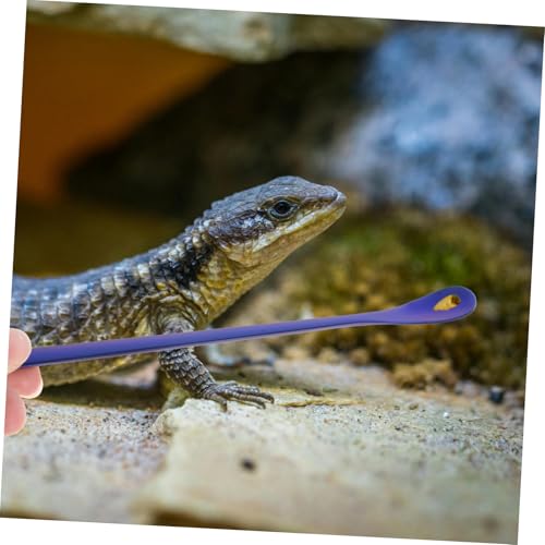 2pcs Sturdy Reptile Spoon Reptile Feeding Tool Dish Gecko Feeding Spoon Pet Supply - color: Blue