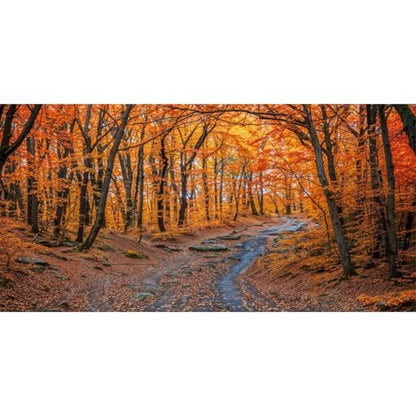 AWERT 36x18 inches Reptile Habitat Background Fallen Leaf Forest Streams Rocks Autumn Background Nature Art Terrarium Background - size: 36x18in/90x45cm