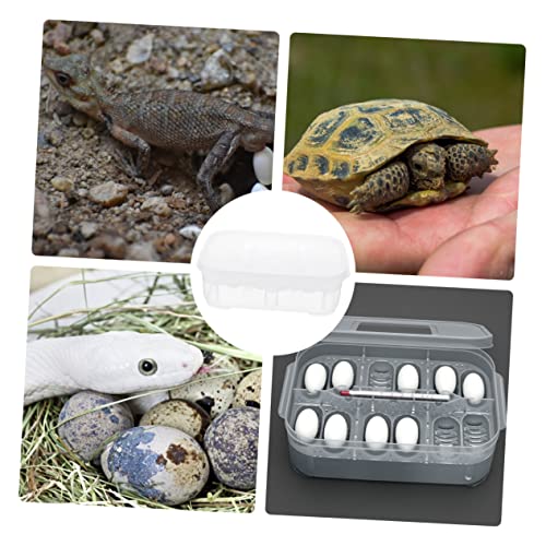 Reptile Hatching Incubation Box for Lizards Two Design for Eggs Hatching Container for Scientific Research and Boys and Girls Curiosity Lightweight and