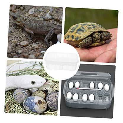 Reptile Hatching Incubation Box for Lizards Two Design for Eggs Hatching Container for Scientific Research and Boys and Girls Curiosity Lightweight and