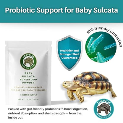 Baby Sulcata Food Powder with Calcium - Scientifically Formulated Diet for Healthy Growth - 2.5 oz Bag | 2 Week Supply - size: 2.5 Ounce (Pack of 1)