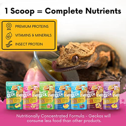 Gargeer 2oz Gentle Geck Breeder Diet - Crested Gecko Food. Made in USA | Expert-crafted superfood! Loaded with organic mango, banana, insect proteins & probiotics. No soy, wheat, or cheap fillers - size: 2 Ounce (Pack of 1)