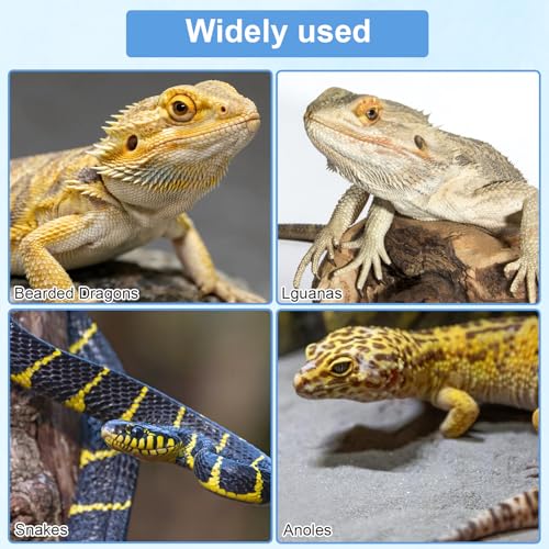 2Pcs Reptile Hammock, Bearded Dragon Hammock with Suction Cups Rope