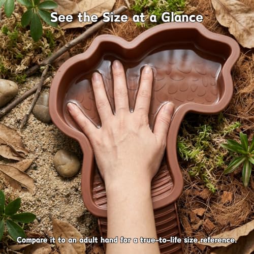 Extra Large Reptile Water Bowl with Ramp and 2 Feeding Dishes Set | Reptile Bathing Pool with Food & Water Bowls for Turtles, Tortoises, Lizards, Geckos, Bearded Dragons and Other Small Pets
