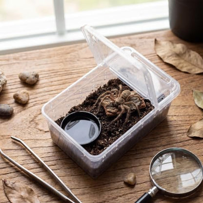 Irenare 20 Pcs Reptile Breeding Box Plastic Snake Breeding Box Transparent Small Reptile Acrylic Carrier for Bearded Dragon Lizard Gecko(5.91 x 3.94 x 2.56 Inch,Standard)