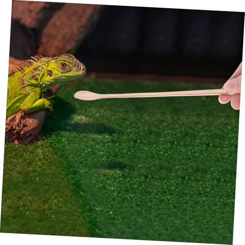 Kisangel 2Pcs Stainless Steel Reptile Food Spoon Long Handle Lizard Feeding Tool for Small Animals Durable and Easy Pet Feeding and Maintenance