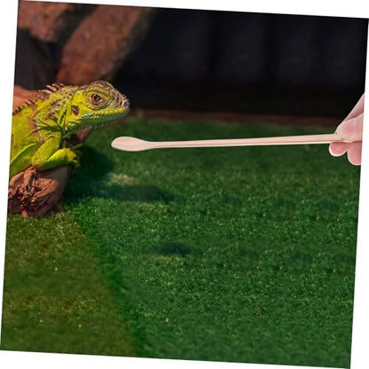 Kisangel 2Pcs Stainless Steel Reptile Food Spoon Long Handle Lizard Feeding Tool for Small Animals Durable and Easy Pet Feeding and Maintenance