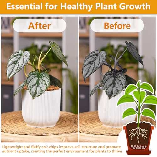 2 Pack Coco Chips for Plants- 2.2lb Organic Coconut Husk Potting Mix | Coconut Mulch Coco Husk Chips for Garden, Potted Plants, Orchid Repotting Soil Mix, High Expansion & Moisture Retention - size: 2 Pack
