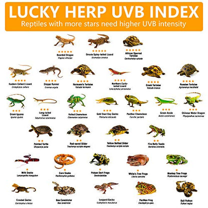 LUCKY HERP 125 Watt UVA+UVB Vapor Heat Lamp Bulb, High Intensity Self-Ballasted Heat Basking Lamp/Bulb/Light for Reptile and Amphibian, Sun Lamp for Bearded Dragon Lizard Turtle - size: 125