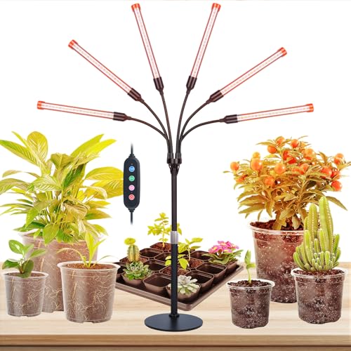 FECiDA 2026 6Head Table Top Grow Lights for Seed Starting, Indoor Plants, Bonsai, 54 Watt Power Draw, NO Need Adapter, 4/8/12/16/20H Timer, 16"-24" Height Adjustable, Big Coverage - size: Desk-6Head-54W