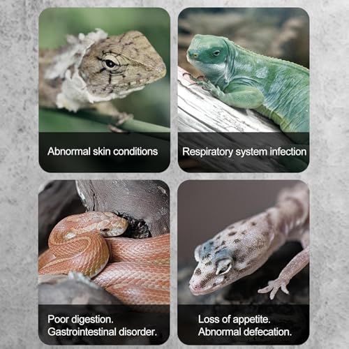 Generic Reptile Temp Humidity Gauge - Digital Hygrometer | Real-time Habitat Monitoring for Reptile Tank & Snake Tank Accessories