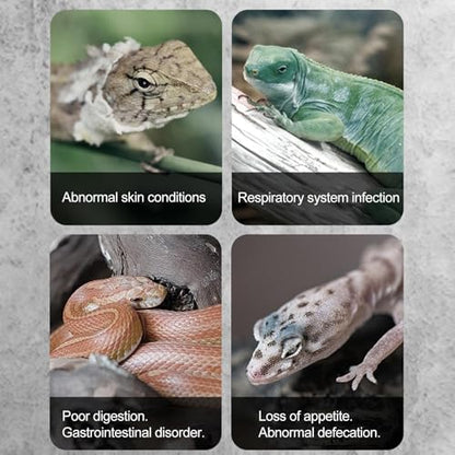 Generic Reptile Temp Humidity Gauge - Digital Hygrometer | Real-time Habitat Monitoring for Reptile Tank & Snake Tank Accessories