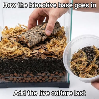 Newt/Salamander Bioactive Kit - 14qt Premium Bioactive Substrate + 4qt Leaf Litter + 4qt Sphagnum + Charcoal Iso-Flats Hide + 25 Dwarf Purple Isopods + 8oz Temperate Springtails