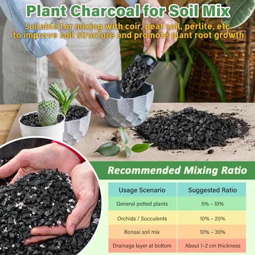 4QT All Natural Horticultural Charcoal- Activated Hardwood Plant Charcoal for Soil Amendment, Conditioning Bonsai Soil, Succulent, Terrarium Supplies, Indoor Plant Potting Soil - color: 4 QT