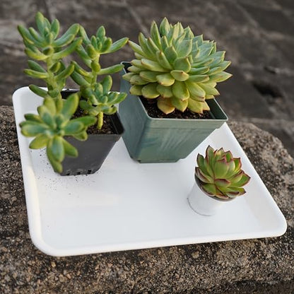 VUWEZ Rectangle Plant Tray, Plant Drip Tray, Plant Pot Saucers, Plant Germination Trays, Plant Saucers, 14.5'' x 11'' x 1.5'' (2 pack), Creamy White - color: Creamy White, size: 14.5'' x 11'' x 1.5'' (2 pack)