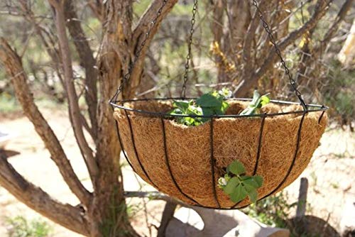 10 inch Coco Liner for planters 2PCS Replacement Round Plant Basket Liners Natural Coco Fiber Liner for Hanging Basket (10 inch) - size: 10 inch