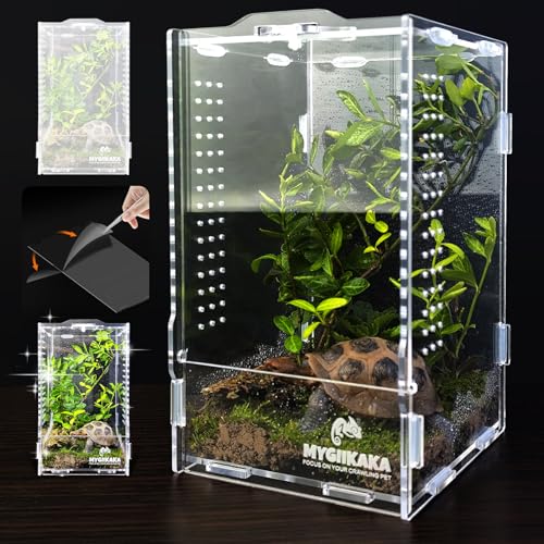 Acrylic Jumping Spider Habitat, Insect Terrarium, Bug Enclosure, Praying Mantis Habitat, Frog Enclosure - size: Small