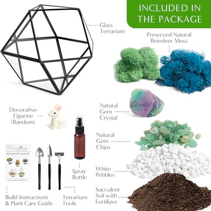 Creations by Nathalie DIY 7" Chalice Glass Terrarium Kit with Moss & Tools | DIY geometric glass terrarium kit with moss, tools, and supplies for creating an indoor terrarium display with your plants. - color: 7” Geometric Dodecahedron