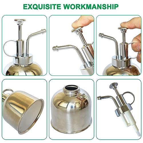 Stainless Steel Plant Sprayer, Small Watering Can for Indoor Potted Plants - color: 10oz/Gloss Silver